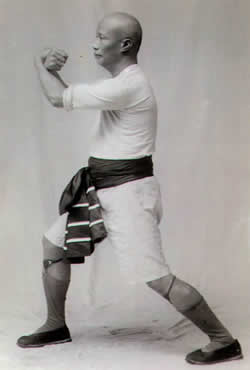 Grand Master Lam Sai Wing Performing "Iron Thread Set" (Tit Sin Kyun)