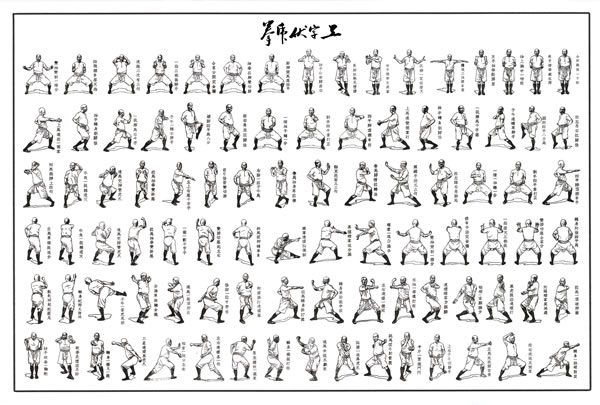 basic kung fu steps