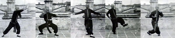 Hung Ga Kyun Grand Master Dang Fong