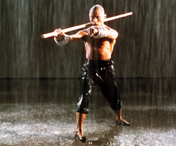Hung Ga kKun in Movies: 36th Chamber of Shaolin