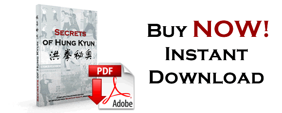 Secrets of Hung Ga Kyun Ebook - Instant Download!