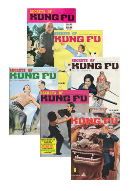 Secrets of Kung Fu