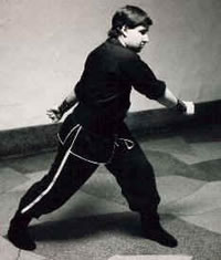 Perspectives on the Role of Practical Fighting in Chinese Martial Arts