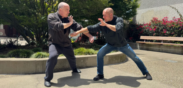 Lam Family Hung Kyun: Honoring the Roots, Building the Future — Interview with Michael Goodwin Sifu